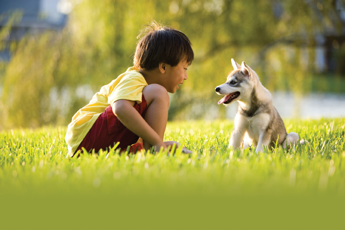 NAPET_Summer11_Asian_Boy_Puppy